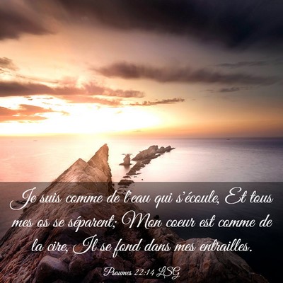 Picture 03 - Psaumes 22:14 LSG - Je suis comme de l'eau qui s'écoule, Et tous mes - Bible Verse Picture