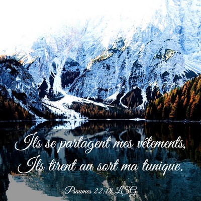 Picture 03 - Psaumes 22:18 LSG - Ils se partagent mes vêtements, Ils tirent au - Bible Verse Picture