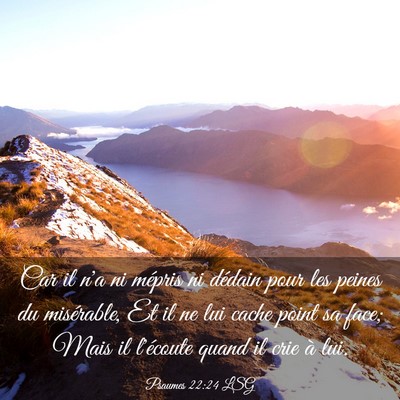 Picture 03 - Psaumes 22:24 LSG - Car il n'a ni mépris ni dédain pour les peines - Bible Verse Picture