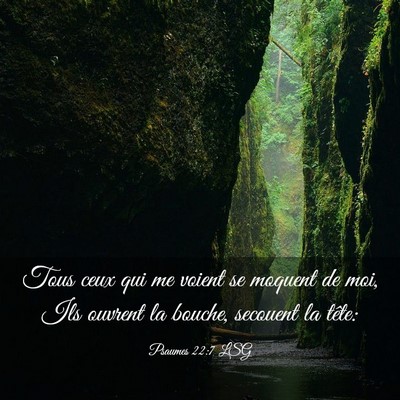 Picture 03 - Psaumes 22:7 LSG - Tous ceux qui me voient se moquent de moi, Ils - Bible Verse Picture