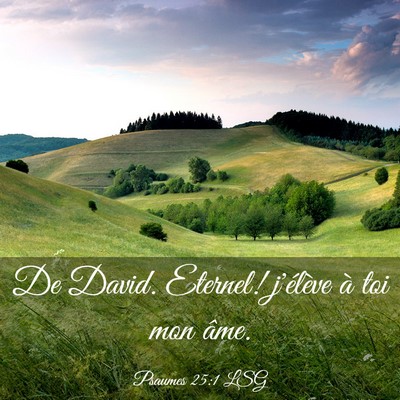 Picture 03 - Psaumes 25:1 LSG - De David. Eternel! j'élève à toi mon - Bible Verse Picture