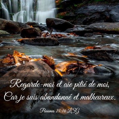 Picture 03 - Psaumes 25:16 LSG - Regarde-moi et aie pitié de moi, Car je suis - Bible Verse Picture