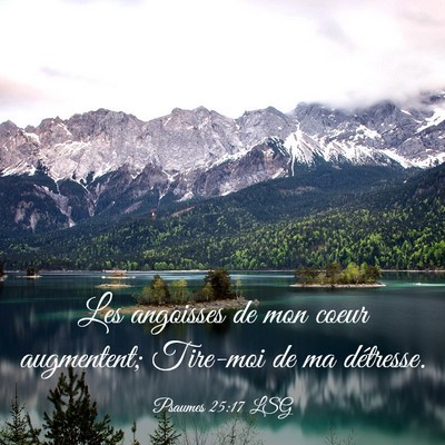 Picture 03 - Psaumes 25:17 LSG - Les angoisses de mon coeur augmentent; Tire-moi - Bible Verse Picture
