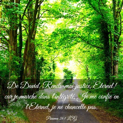 Picture 03 - Psaumes 26:1 LSG - De David. Rends-moi justice, Eternel! car je - Bible Verse Picture