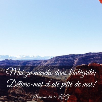 Picture 03 - Psaumes 26:11 LSG - Moi, je marche dans l'intégrité; Délivre-moi - Bible Verse Picture