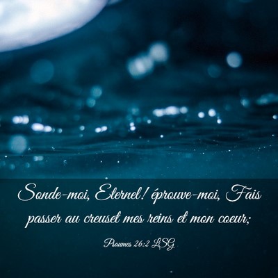 Picture 03 - Psaumes 26:2 LSG - Sonde-moi, Eternel! éprouve-moi, Fais passer au - Bible Verse Picture