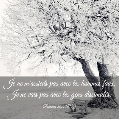Picture 03 - Psaumes 26:4 LSG - Je ne m'assieds pas avec les hommes faux, Je ne - Bible Verse Picture