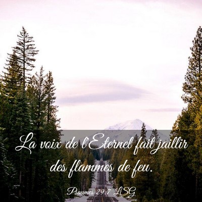 Picture 03 - Psaumes 29:7 LSG - La voix de l'Eternel fait jaillir des flammes de - Bible Verse Picture
