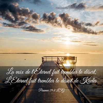 Picture 03 - Psaumes 29:8 LSG - La voix de l'Eternel fait trembler le désert; - Bible Verse Picture