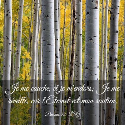 Picture 03 - Psaumes 3:5 LSG - Je me couche, et je m'endors; Je me réveille, - Bible Verse Picture