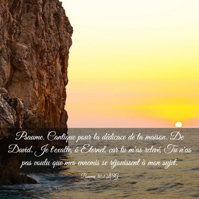 Picture 03 - Psaumes 30:1 LSG - Psaume. Cantique pour la dédicace de la maison. - Bible Verse Picture