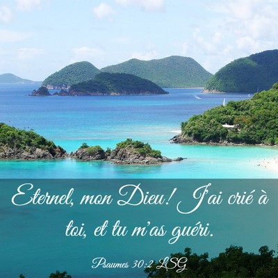 Picture 03 - Psaumes 30:2 LSG - Eternel, mon Dieu! J'ai crié à toi, et tu m'as - Bible Verse Picture
