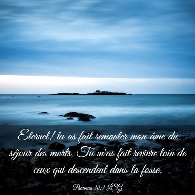 Picture 03 - Psaumes 30:3 LSG - Eternel! tu as fait remonter mon âme du séjour - Bible Verse Picture