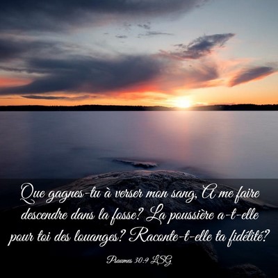 Picture 03 - Psaumes 30:9 LSG - Que gagnes-tu à verser mon sang, A me faire - Bible Verse Picture