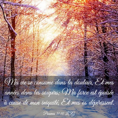 Picture 03 - Psaumes 31:10 LSG - Ma vie se consume dans la douleur, Et mes années - Bible Verse Picture