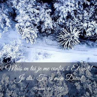 Picture 03 - Psaumes 31:14 LSG - Mais en toi je me confie, ô Eternel! Je dis: Tu - Bible Verse Picture