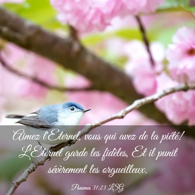Picture 03 - Psaumes 31:23 LSG - Aimez l'Eternel, vous qui avez de la piété! - Bible Verse Picture
