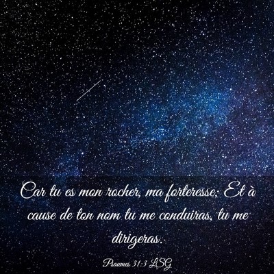Picture 03 - Psaumes 31:3 LSG - Car tu es mon rocher, ma forteresse; Et à cause - Bible Verse Picture