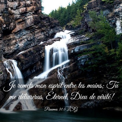Picture 03 - Psaumes 31:5 LSG - Je remets mon esprit entre tes mains; Tu me - Bible Verse Picture