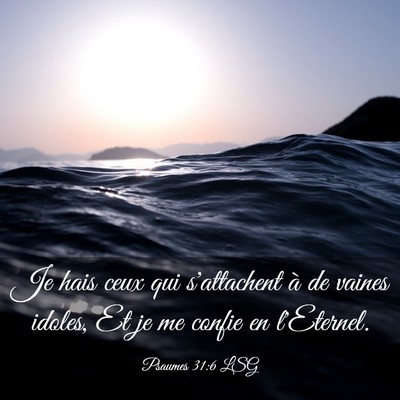 Picture 03 - Psaumes 31:6 LSG - Je hais ceux qui s'attachent à de vaines idoles, - Bible Verse Picture