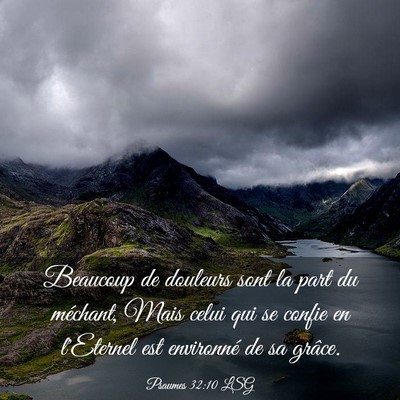 Picture 03 - Psaumes 32:10 LSG - Beaucoup de douleurs sont la part du méchant, - Bible Verse Picture