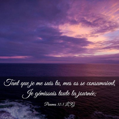 Picture 03 - Psaumes 32:3 LSG - Tant que je me suis tu, mes os se consumaient, Je - Bible Verse Picture