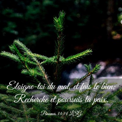 Picture 03 - Psaumes 34:14 LSG - Eloigne-toi du mal, et fais le bien; Recherche et - Bible Verse Picture