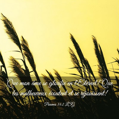Picture 03 - Psaumes 34:2 LSG - Que mon âme se glorifie en l'Eternel! Que les - Bible Verse Picture