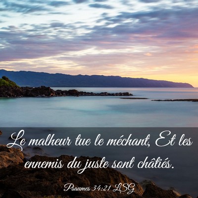 Picture 03 - Psaumes 34:21 LSG - Le malheur tue le méchant, Et les ennemis du - Bible Verse Picture