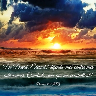 Picture 03 - Psaumes 35:1 LSG - De David. Eternel! défends-moi contre mes - Bible Verse Picture
