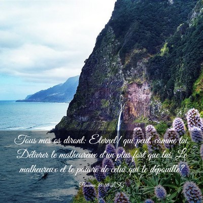 Picture 03 - Psaumes 35:10 LSG - Tous mes os diront: Eternel! qui peut, comme toi, - Bible Verse Picture