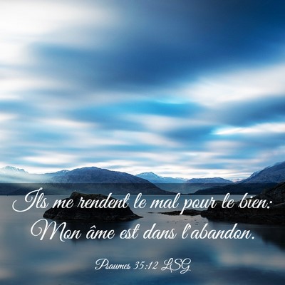 Picture 03 - Psaumes 35:12 LSG - Ils me rendent le mal pour le bien: Mon âme est - Bible Verse Picture