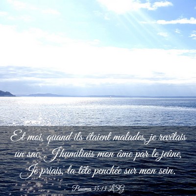 Picture 03 - Psaumes 35:13 LSG - Et moi, quand ils étaient malades, je revêtais - Bible Verse Picture