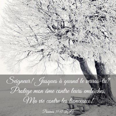 Picture 03 - Psaumes 35:17 LSG - Seigneur! Jusques à quand le verras-tu? Protège - Bible Verse Picture