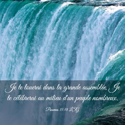 Picture 03 - Psaumes 35:18 LSG - Je te louerai dans la grande assemblée, Je te - Bible Verse Picture