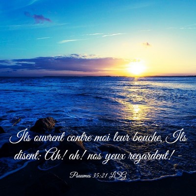Picture 03 - Psaumes 35:21 LSG - Ils ouvrent contre moi leur bouche, Ils disent: - Bible Verse Picture