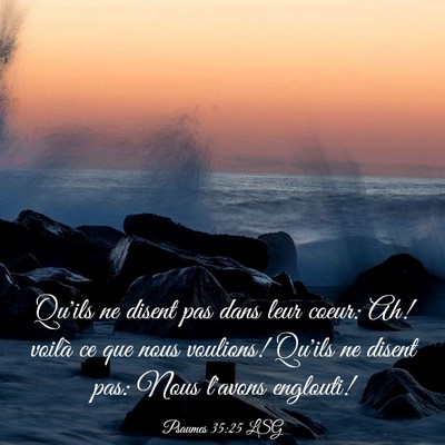 Picture 03 - Psaumes 35:25 LSG - Qu'ils ne disent pas dans leur coeur: Ah! voilà - Bible Verse Picture