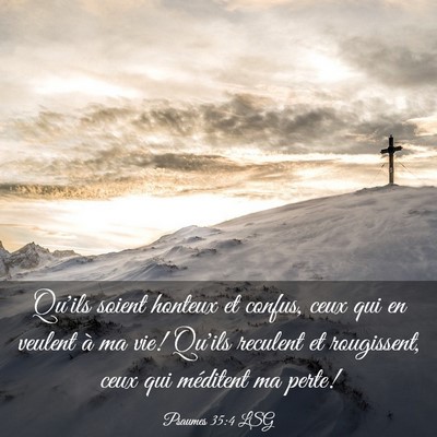 Picture 03 - Psaumes 35:4 LSG - Qu'ils soient honteux et confus, ceux qui en - Bible Verse Picture