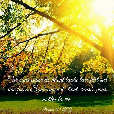 Picture 03 - Psaumes 35:7 LSG - Car sans cause ils m'ont tendu leur filet sur une - Bible Verse Picture
