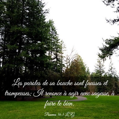 Picture 03 - Psaumes 36:3 LSG - Les paroles de sa bouche sont fausses et - Bible Verse Picture