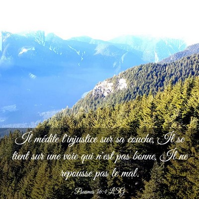 Picture 03 - Psaumes 36:4 LSG - Il médite l'injustice sur sa couche, Il se tient - Bible Verse Picture