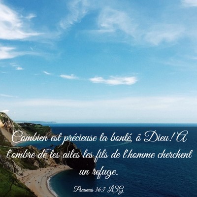 Picture 03 - Psaumes 36:7 LSG - Combien est précieuse ta bonté, ô Dieu! A - Bible Verse Picture