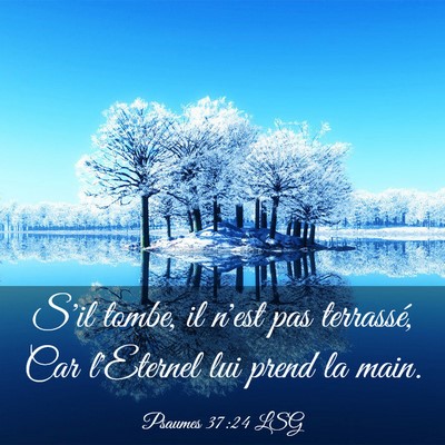 Picture 03 - Psaumes 37:24 LSG - S'il tombe, il n'est pas terrassé, Car l'Eternel - Bible Verse Picture