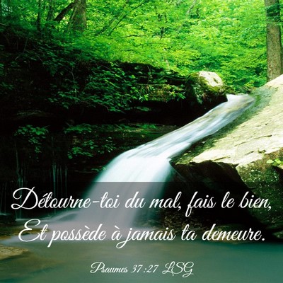 Picture 03 - Psaumes 37:27 LSG - Détourne-toi du mal, fais le bien, Et possède - Bible Verse Picture
