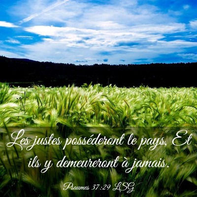 Picture 03 - Psaumes 37:29 LSG - Les justes posséderont le pays, Et ils y - Bible Verse Picture