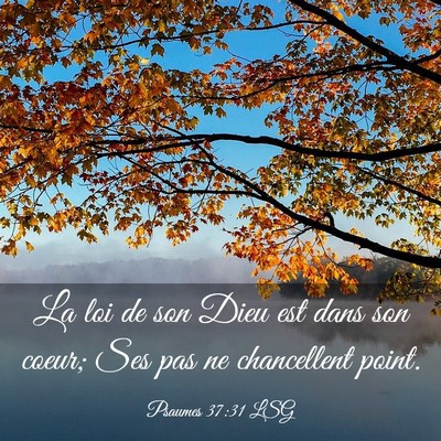 Picture 03 - Psaumes 37:31 LSG - La loi de son Dieu est dans son coeur; Ses pas ne - Bible Verse Picture