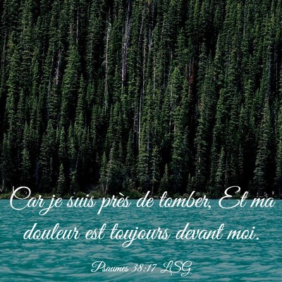 Picture 03 - Psaumes 38:17 LSG - Car je suis près de tomber, Et ma douleur est - Bible Verse Picture