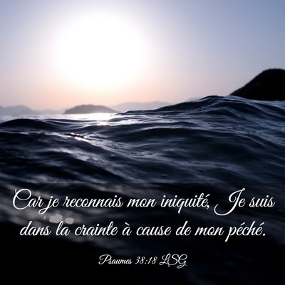 Picture 03 - Psaumes 38:18 LSG - Car je reconnais mon iniquité, Je suis dans la - Bible Verse Picture