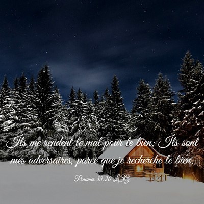 Picture 03 - Psaumes 38:20 LSG - Ils me rendent le mal pour le bien; Ils sont mes - Bible Verse Picture