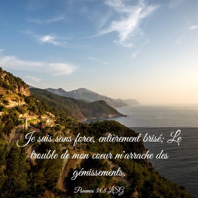 Picture 03 - Psaumes 38:8 LSG - Je suis sans force, entièrement brisé; Le - Bible Verse Picture